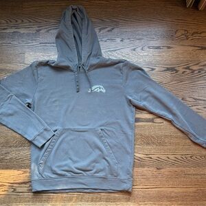 adidas Men's Gray Hoodie